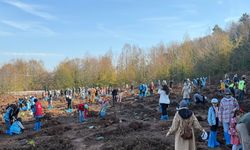 FİDANLAR TOPRAKLA BULUŞTU…
