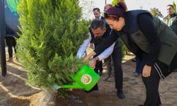 EŞ ZAMANLI FİDAN DİKİMİ