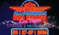 All American Koi Show 2026: Koi dünyasının en prestijli yarışması Las Vegas'a dönüyor