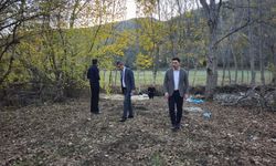 Almus Kaymakamı Çömen, Gümeleönü köyünü ziyaret etti