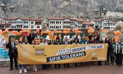 Amasya'da kadına şiddete karşı “Turuncu tuval” etkinliği yapıldı