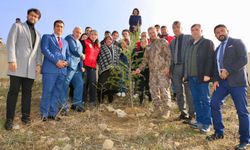Amasya'da şehitler için fidan dikildi