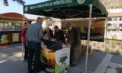 Amasya'da vatandaşlara ücretsiz fidan dağıtıldı