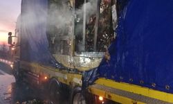 Anadolu Otoyolu'nda tırın dorsesinde çıkan yangın söndürüldü