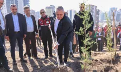 Ankara Keçiören'de fidanlar toprakla buluştu