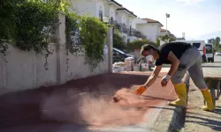 Antalya Güzeloba'da kaldırım çalışması