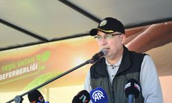 Antalya ve çevre illerde fidanlar toprakla buluşturuldu