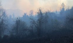 Artvin'de örtü yangınına müdahale ediliyor