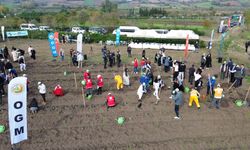 Bafra'da Milli Ağaçlandırma Günü etkinliği yapıldı