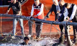 Bakan Yumaklı: Su ürünlerinde hedef 3 milyar dolar ihracat