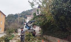 BEDAŞ’TAN KIŞ HAZIRLIĞI