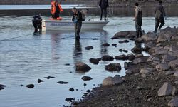 Bolu'da göle bırakılan 5 bin metrelik ağdaki 500 balık kurtarıldı