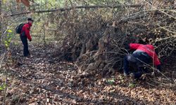 Bolu'da mantar toplarken kaybolan yaşlı adamı arama çalışması sürüyor