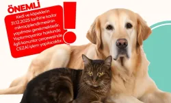 Bursa İnegöl'de evde kedi-köpek besleyenlere mikroçip uyarısı