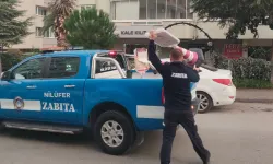 Bursa Nilüfer'de kapsamlı temizlik