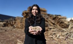 Çorum'da kadın girişimcinin kurduğu pelet fabrikası ahşap atıklarını ekonomiye kazandırıyor