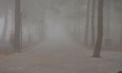 Çorum'da sis etkili oldu