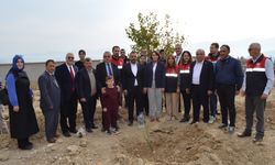 Dodurga'da 60 meyve fidanı toprakla buluşturuldu