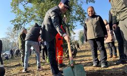 Düzce ve ilçelerinde fidanlar toprakla buluştu
