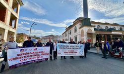 Düzce'de diyabet ve KOAH hastalığı için farkındalık yürüyüşü gerçekleştirildi