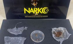 Düzce'de uyuşturucu operasyonunda 2 şüpheli tutuklandı