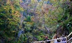 Düzce'nin ekoturizm rotası Aktaş Şelalesi, misafirlerini sonbahar renkleriyle ağırlıyor