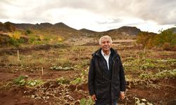 Giresun'da emekli banka müdürü 16 dönüm arazide Antep fıstığı bahçesi kurdu