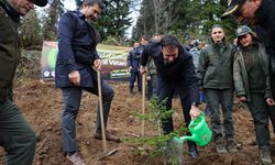 Giresun'da Milli Ağaçlandırma Günü etkinlikleri