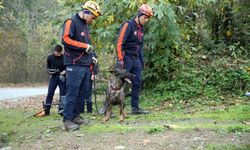 GÜNCELLEME 2 - Kastamonu'da kaybolan anne ve oğlunu arama çalışmalarına ara verildi