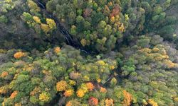 Güzeldere Şelalesi Tabiat Parkı'nda sonbahar renkleri
