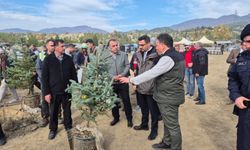 Hanönü'de Milli Ağaçlandırma Günü'nde fidanlar toprakla buluşturuldu