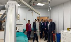 ANJİYO SERVİSİNE İNCELEME