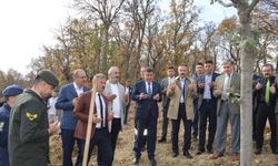 Havza'da Milli Ağaçlandırma Günü dolayısıyla fidan dikimi yapıldı