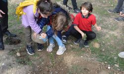Havza'da okul öğrencilerine fidan dağıtıldı