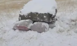 Hudut Kartallarından kaçakçılara darbe!