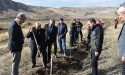İskilip'te 200 fidan toprakla buluşturuldu