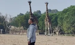 İzmir Doğal Yaşam Parkı'nda duygusal 10 Kasım