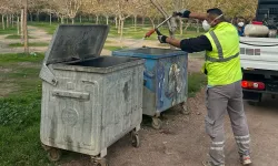 İzmir'de karasinekle yoğun mücadele