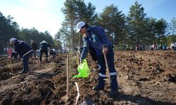 KARDEMİR'den fidan dikimi seferberliğine destek