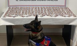 Kastamonu'da 1344 uyuşturucu hapla yakalanan şüpheli tutuklandı