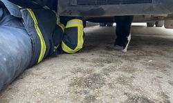 Kastamonu'da minibüsün motoruna sıkışan kedi yavrusu kurtarıldı