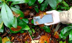 Kastamonu'da oğluyla ölü bulunan kadının kayıp cep telefonuna ulaşıldı