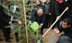 Kayseri Büyükşehir'den 'yeşil' etkinlik