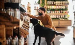 Köpek ve kedi sahipleri sürdürülebilir diyetlere daha açık