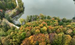 Korugöl Tabiat Parkı, ulaşım ve çevre yatırımlarıyla turizme kazandırıldı