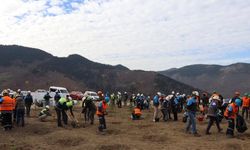 Küre'de Milli Ağaçlandırma Günü kapsamında etkinlik yapıldı