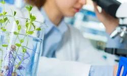 Laboratuvar denetimlerinde yeni kural! Cezalarda tarih hesabı il müdürlerine bağlandı