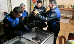 Manisa'da 150 kilo pişmiş tavuk eti ele geçirildi! İşletme mühürlendi