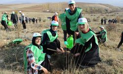 Mecitözü'nde 'Milli Ağaçlandırma Günü' kapsamında fidan dikimi yapıldı