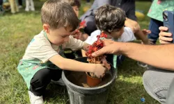 Minik eller Sakarya'da umut ekti